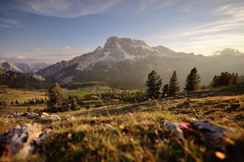 Plätzwiese, Picco di Vallandro, Braies, Prags, Brunico, Bruneck, Dolomiti, Dolomites, Drei Zinnen, Tre Cime, Armin Bodner, Fotograf